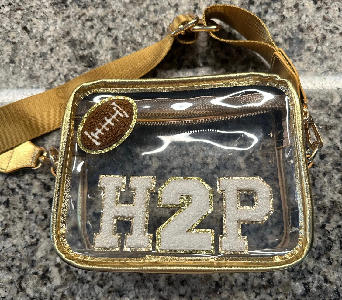 Elizabeth Clear Stadium Crossbody Bag