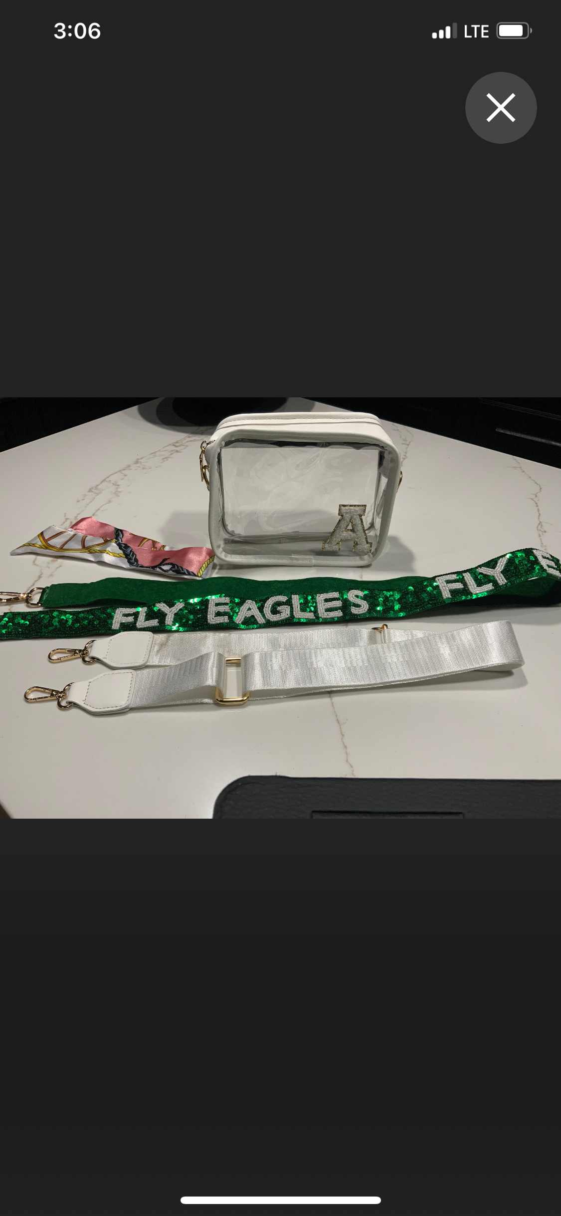 Game Day purse