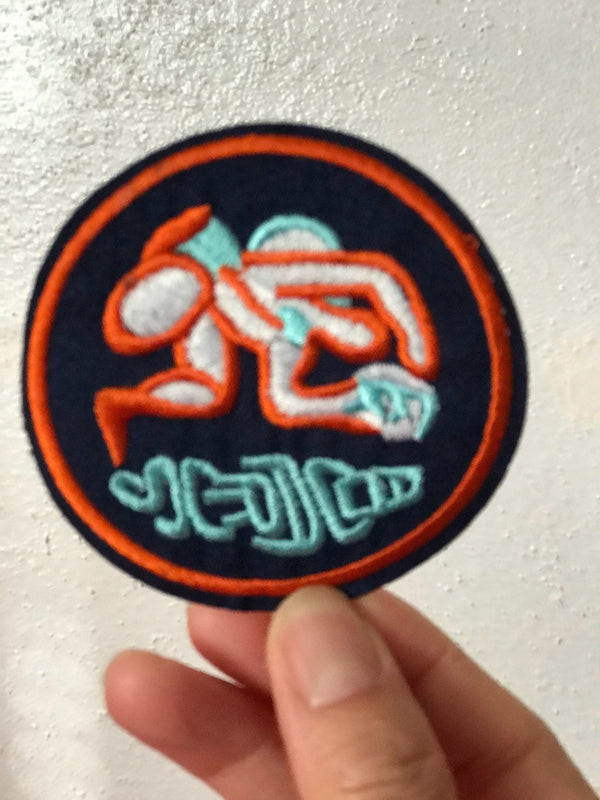 Creative Aquarius iron On Patch -Embroidered Sew On Patch（1/20-2/18）